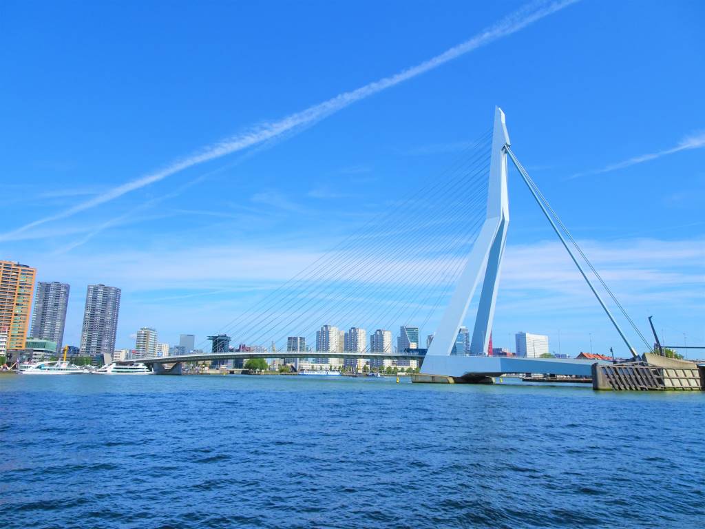 erasmusbrug erasmus bridge rotterdam zwaan swan architecture