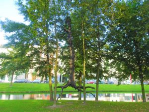 elevazione giuseppe penone rotterdam street art elevated tree