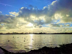 kralingse plas lake kralingen zeilen hardlopen wandelen picnic bbq rotterdam