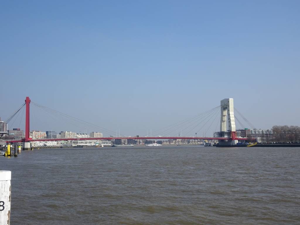 willemsbrug bridge nieuwe maas rotterdam architecture